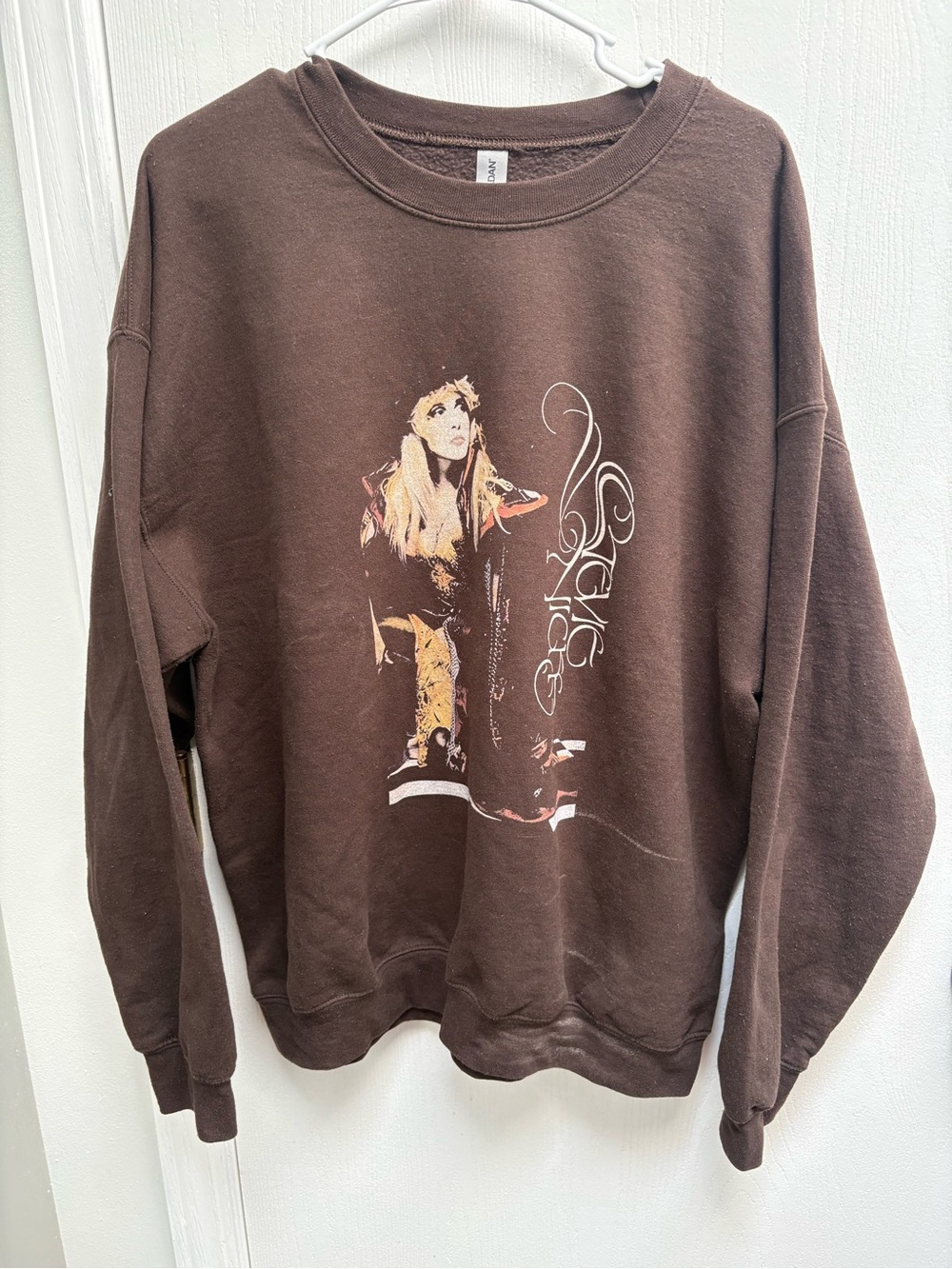 Stevie Nicks Sweatshirt - Brown - XL